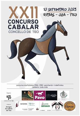 XXIV Concurso Cabalar en Teo