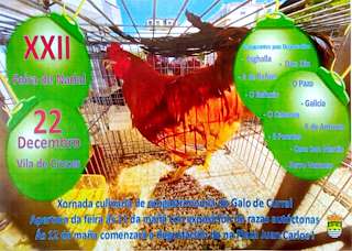 XXV Feira de Nadal Galo e Galiña de Curral (2025) en Vila de Cruces