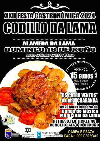 XXIII Festa do Codillo en A Lama