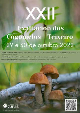 XXV Festa do Cogomelo (2025) en Curtis