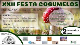 XXVII Festa dos Cogumelos (2025) en Salceda de Caselas