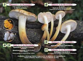 XXIV Xornadas Micolóxicas da Costa da Morte (2025) en Cee