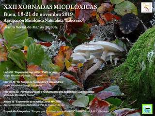 XXVI Xornadas Micolóxicas (2025) en Bueu