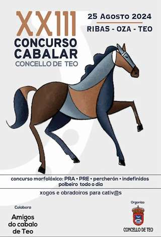 XXIV Concurso Cabalar en Teo