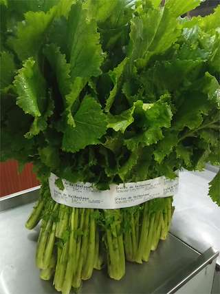 XXIV Feira do Grelo de Xestoso en Monfero