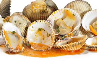 XXIV Festa do Berberecho (2026) en Foz