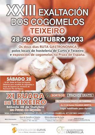 XXV Festa do Cogomelo (2025) en Curtis