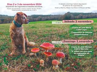 XXIV Xornadas Micolóxicas da Costa da Morte (2025) en Cee