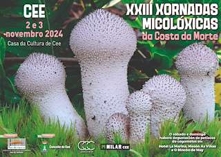 XXIV Xornadas Micolóxicas da Costa da Morte (2025) en Cee