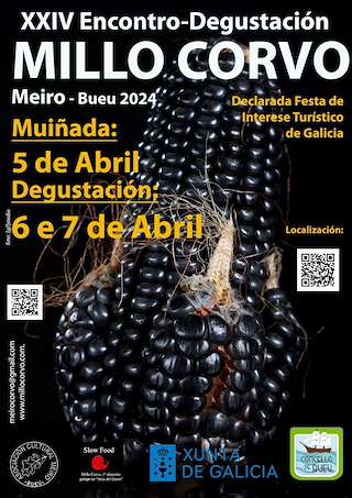 XXV Encontro - Degustación do Millo Corvo en Bueu