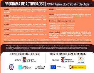 XXVIII Feira do Cabalo de Adai en O Corgo