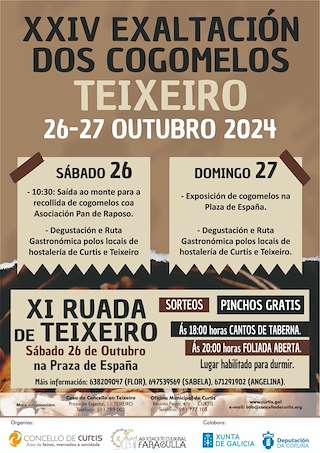 XXV Festa do Cogomelo (2025) en Curtis