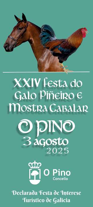 XXV Festa do Galo Piñeiro e Mostra Cabalar (2026) en O Pino
