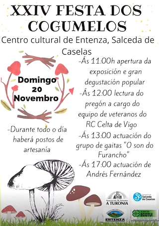 XXVII Festa dos Cogumelos (2025) en Salceda de Caselas