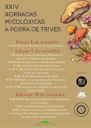 XXV Xornadas Micolóxicas - X Concurso de Tapas (2025) en A Pobra de Trives