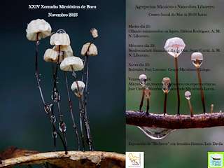 XXVI Xornadas Micolóxicas (2025) en Bueu