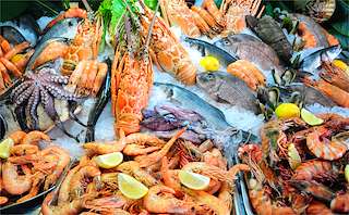 XXVI Conxemar - Feria Internacional de Productos del Mar Congelados en Vigo