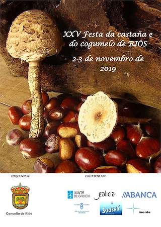 XXX Festa da Castaña e do Cogomelo (2025) en Riós