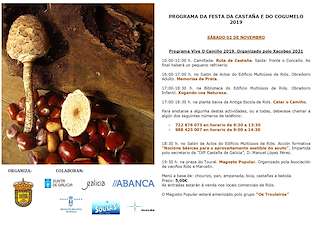 XXX Festa da Castaña e do Cogomelo (2025) en Riós