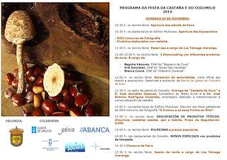 XXX Festa da Castaña e do Cogomelo (2025) en Riós