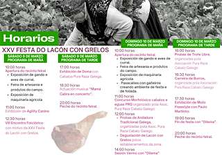 XXVI Festa do Lacón con Grelos en Ordes