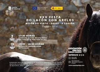 XXVI Festa do Lacón con Grelos en Ordes