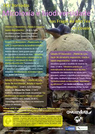 XXXI Xornadas Micolóxicas e Ambientais en Covelo