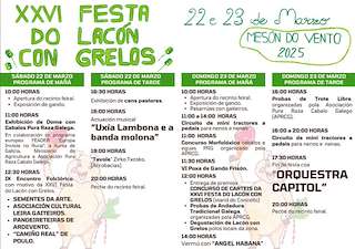 XXVII Festa do Lacón con Grelos en Ordes