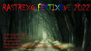 XXVIII Festixeve en Pontevedra