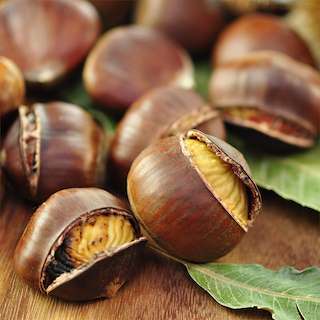 XXXVIII Semana Cultural Pedornes - XLI Magosto Popular en Oia