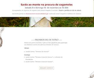 XXIX Feira de Outono en Allariz