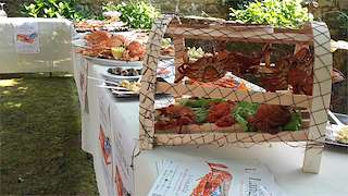 XXXIII Festa da Langosta en A Guarda