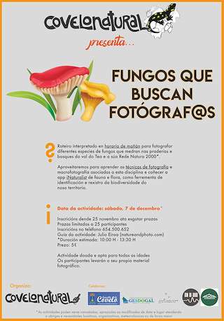 XXXI Xornadas Micolóxicas e Ambientais en Covelo