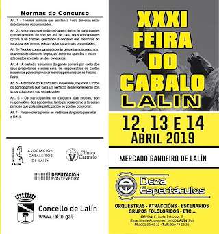 XXXV Feira do Cabalo en Lalín