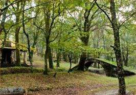 XXXVIII Mostra de Música Coral en As Pontes de García Rodríguez