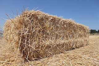 XXXIII Festa da Malla en Meira