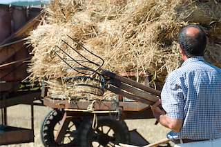 XXXIII Festa da Malla en Meira