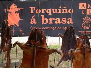 XXXIII Festa do Porquiño á Brasa da Amil (2026) en Moraña