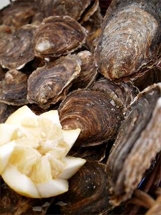 XXXVII Festa da Ostra de Arcade en Soutomaior