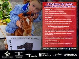 XXXIV Festa da Vendima en Leiro