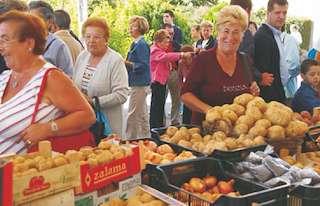 Festa da Pataca en Coristanco