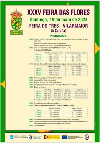 XXXVI Feira das Flores - Feira do Tres en Vilarmaior