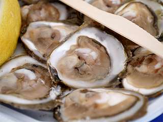 XXXVIII Festa da Ostra de Arcade (2026) en Soutomaior