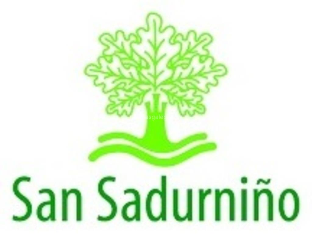 logotipo  Ayuntamiento - Concello San Sadurniño