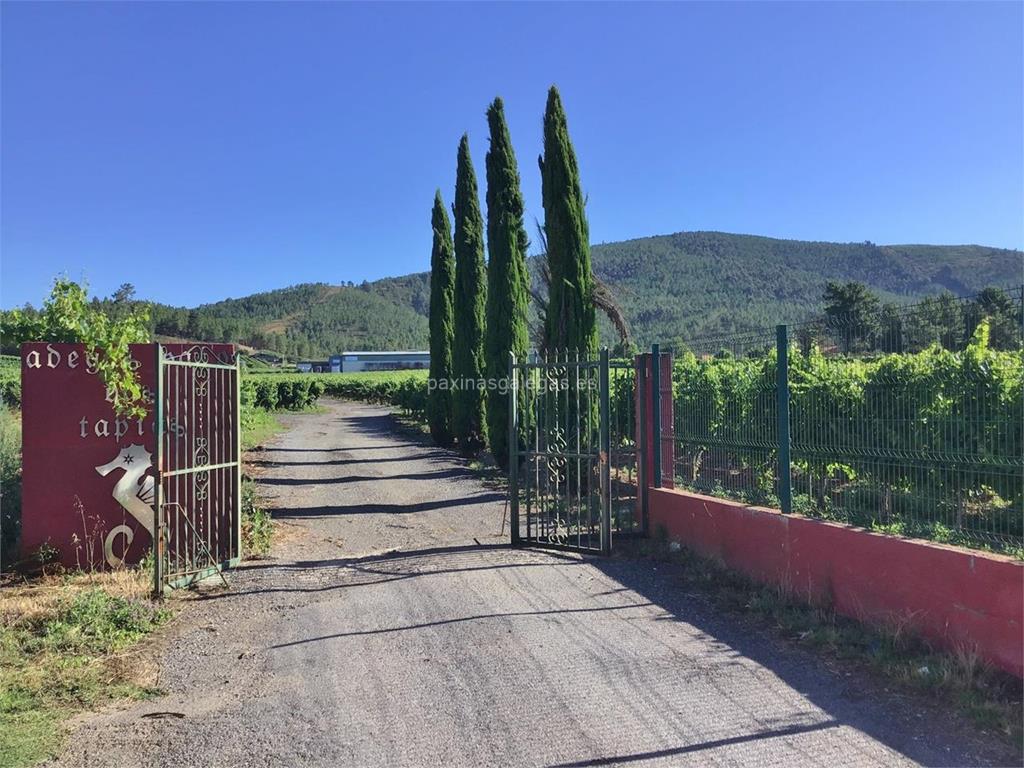 imagen principal +Pazo das Tapias (Alma de Blanco y Tinto)