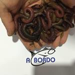 Foto de la empresa (4)