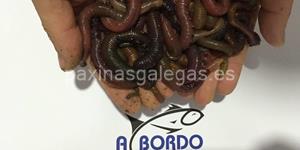 Foto de la empresa (3)