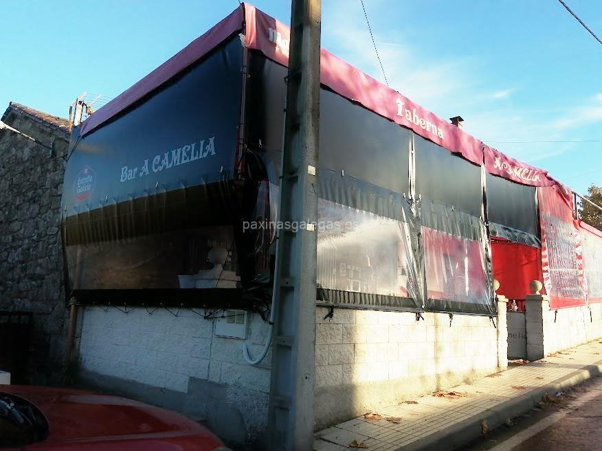 imagen principal A Camelia