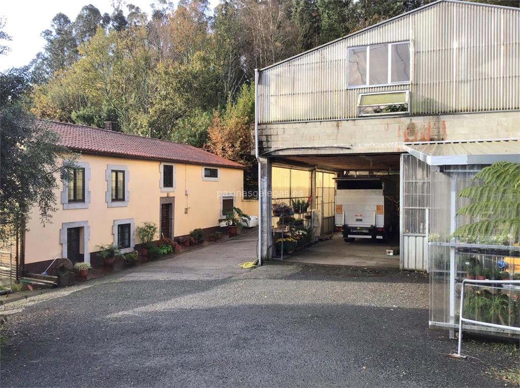 imagen principal A Casa da Planta