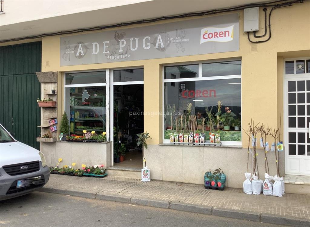 imagen principal A de Puga (Coren)